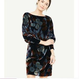 Ann Taylor velvet floral shift dress